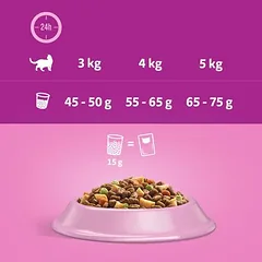 Whiskas 1+ Sterile su vištiena, sausas maistas katėms — 4 nuotrauka