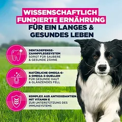 Eukanuba Premium Nutrition Adult Medium Breed su vištiena, sausas maistas šunims, 3 - 4,9 kg — 5 nuotrauka
