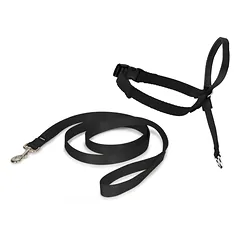 PetSafe Easy Walk Headcollar - antsnukis šunims, pakinktai ir pavadėlis