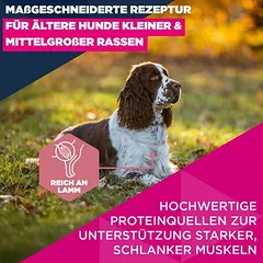 Eukanuba Premium Nutrition Senior Small & Medium Breed su ėriena ir ryžiais, > 10 kg — 4 nuotrauka