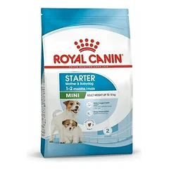 Royal Canin Mini Starter Mother & Babydog sausas maistas šunims, 5 - 9,9 kg parduotuvėje 1petshop.lt