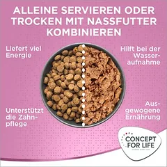 Concept for Life Kitten su jautiena, begrūdis, padaže, drėgnas maistas kačiukams — 4 nuotrauka