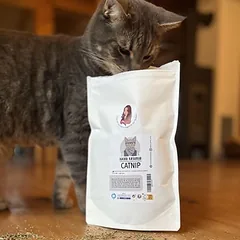 Kater Kasimir katžolė, 60 g — 2 nuotrauka