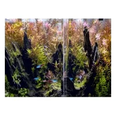 Opti Bent 70 akvariumas stačiakampis, baltas, 39x39x45 cm, 68 l — 5 nuotrauka