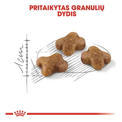 ROYAL CANIN FHN Kitten sausas maistas kačiukams 400 g — 4 nuotrauka