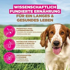 Eukanuba Grain Free Adult Small & Medium su jūrų žuvimi, sausas maistas šunims, 3 - 4,9 kg — 5 nuotrauka