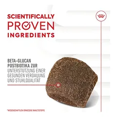Royal Canin Digestion Adult Supplement kramtomieji skanėstai šunims — 5 nuotrauka