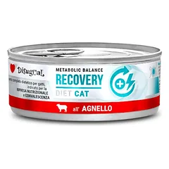 DISUGUAL Recovery kons katėms su ėriena 85g (12)