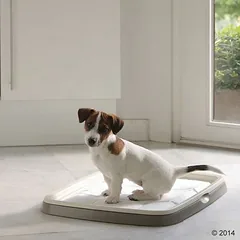 Savic Puppy Trainer pradinis rinkinys, Ekonominis rinkinys: Large, su 7 pagalėliais + 50 Large pagalėlių — 4 nuotrauka