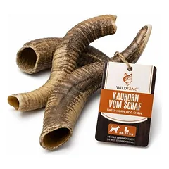 Wildfang Kauhorn vom Schaf