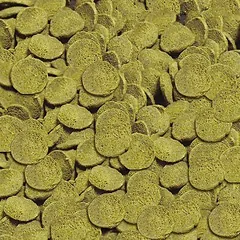 Sera Wels-Chips Nature maistas šamams 15 g — 2 nuotrauka