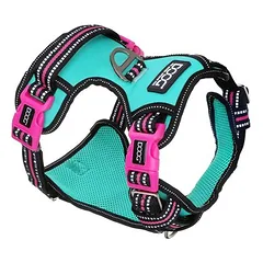DOOG Neotech Geschirr Rin Tin Tin grün/pink