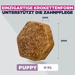 Eukanuba Special Care Sensitive Digestion Puppy su vištiena ir kalakutiena, sausas maistas šuniukams, > 10 kg — 4 nuotrauka