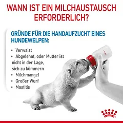 Royal Canin Babydog Milk — 4 nuotrauka