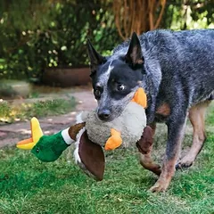 KONG Shakers Honkers Duck žaislas šunims, Dideliems 26–45 kg — 2 nuotrauka