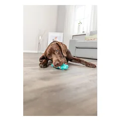 TRIXIE Denta Fun kaulas, mėtų skonio, nat.guma, 15 cm (pak.3), 1 vnt. — 2 nuotrauka