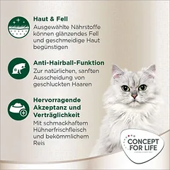 Concept for Life Persian Adult sausas maistas katėms – patobulinta receptūra!, 400 g — 4 nuotrauka