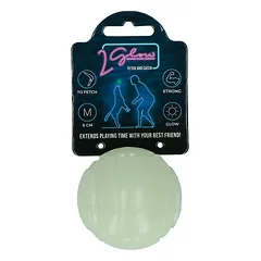 2 GLOW tamsoje šviečiantis kamuoliukas šunims