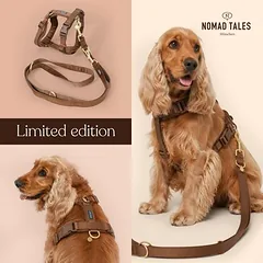 Nomad Tales Blush Limited Edition petnešos šunims, mocha