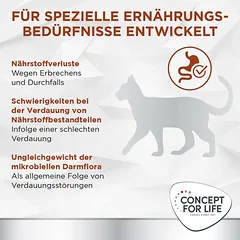 Concept for Life Veterinary Diet Gastrointestinal sausas maistas katėms, 3 - 4,9 kg — 5 nuotrauka