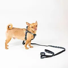 WARNER BROS petnešos DC Batman, juodos, Mažiems 5–10 kg — 4 nuotrauka