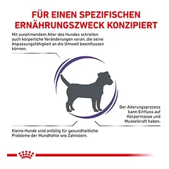Royal Canin Expert Canine Mature Consult Small Dog sausas maistas šunims — 3 nuotrauka