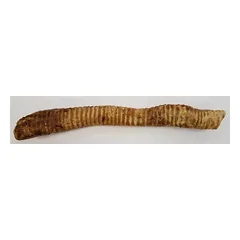 Laikas Gardums džiovintos jautienos trachėjos ilgos šunims, 1 vnt., ~120 g, ~40 cm — 3 nuotrauka
