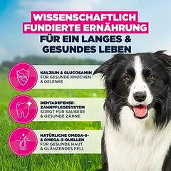 Eukanuba Premium Nutrition Mature Medium Breed su vištiena, sausas maistas šunims, > 10 kg — 5 nuotrauka