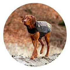 Flamingo TOUCHDOG XL šunų paltas, rudas — 2 nuotrauka