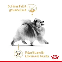 Royal Canin Pomeranian Adult sausas maistas šunims, 1,5 - 2,9 kg — 3 nuotrauka
