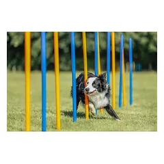 Trixie Agility Slalomas 3×115 cm parduotuvėje zooplus.de
