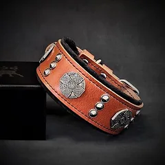 Bestia Hundehalsband Maximus 5 cm breit