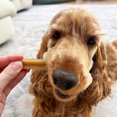 Pedigree DentaStix kasdienė dantų priežiūra / Fresh ekonominė pakuotė, skanėstai šunims 168 vnt. — 5 nuotrauka