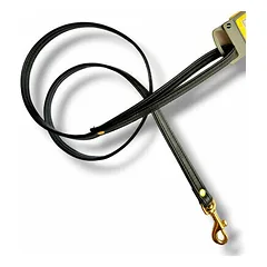 Hunter Fashion Black 15/110 artificial leather, golden elements - leash for dogs