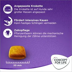 Concept for Life X-Large Adult sausas maistas šunims, > 10 kg — 5 nuotrauka