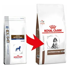 Royal Canin Vet VD Gastro Intestinal Junior veterinarinis maistas šuniukams 2.5kg — 2 nuotrauka