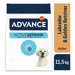 Advance Labrador Retriever Adult