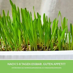 GimCat Hydro-Gras 150 g, papildas katėms — 4 nuotrauka