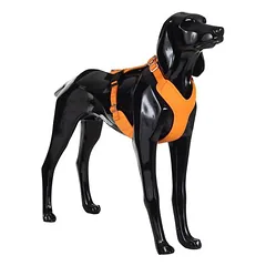 PAIKKA Hundegeschirr reflektierend "Visibility Harness" orange