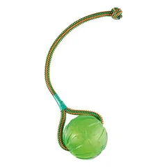 Starmark Swing n' Fling Chew Ball