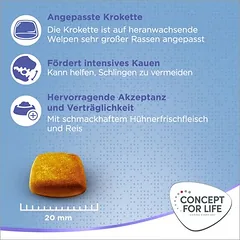 Concept for Life X-Large Puppy & Junior sausas maistas šuniukams, 1,5 - 2,9 kg — 5 nuotrauka