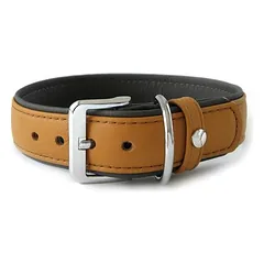 Das Lederband Hundehalsband Amsterdam caramel/lava