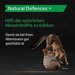 PRO PLAN Cat Adult Natural Defences Supplement milteliai, papildas katėms, 50 - 79 g — 3 nuotrauka