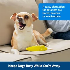 PetSafe Busy Buddy Frosty Cone - kramtomasis žaislas šaldytiems skanėstams šunims, ledų kūgis, M/L — 2 nuotrauka