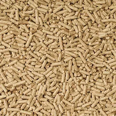 Cat’s Best Universal kraikas katėms, 20 l — 2 nuotrauka