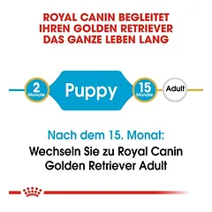 Royal Canin Golden Retriever Puppy sausas maistas šunims, > 10 kg — 4 nuotrauka