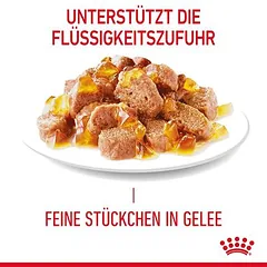 Royal Canin Hair & Skin Care drėgnas maistas, papildantis sausą maistą katėms — 4 nuotrauka