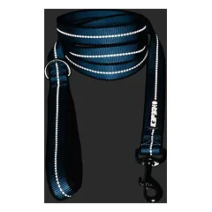 Icepeak Pet pavadėlis šunims Highway Basic, aqua, Vidutiniams 11–25 kg — 2 nuotrauka
