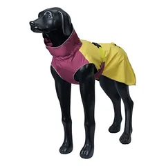 Icepeak Pet Dewy Regenmantel, kiwi