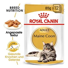 Royal Canin Maine Coon Adult in Soße